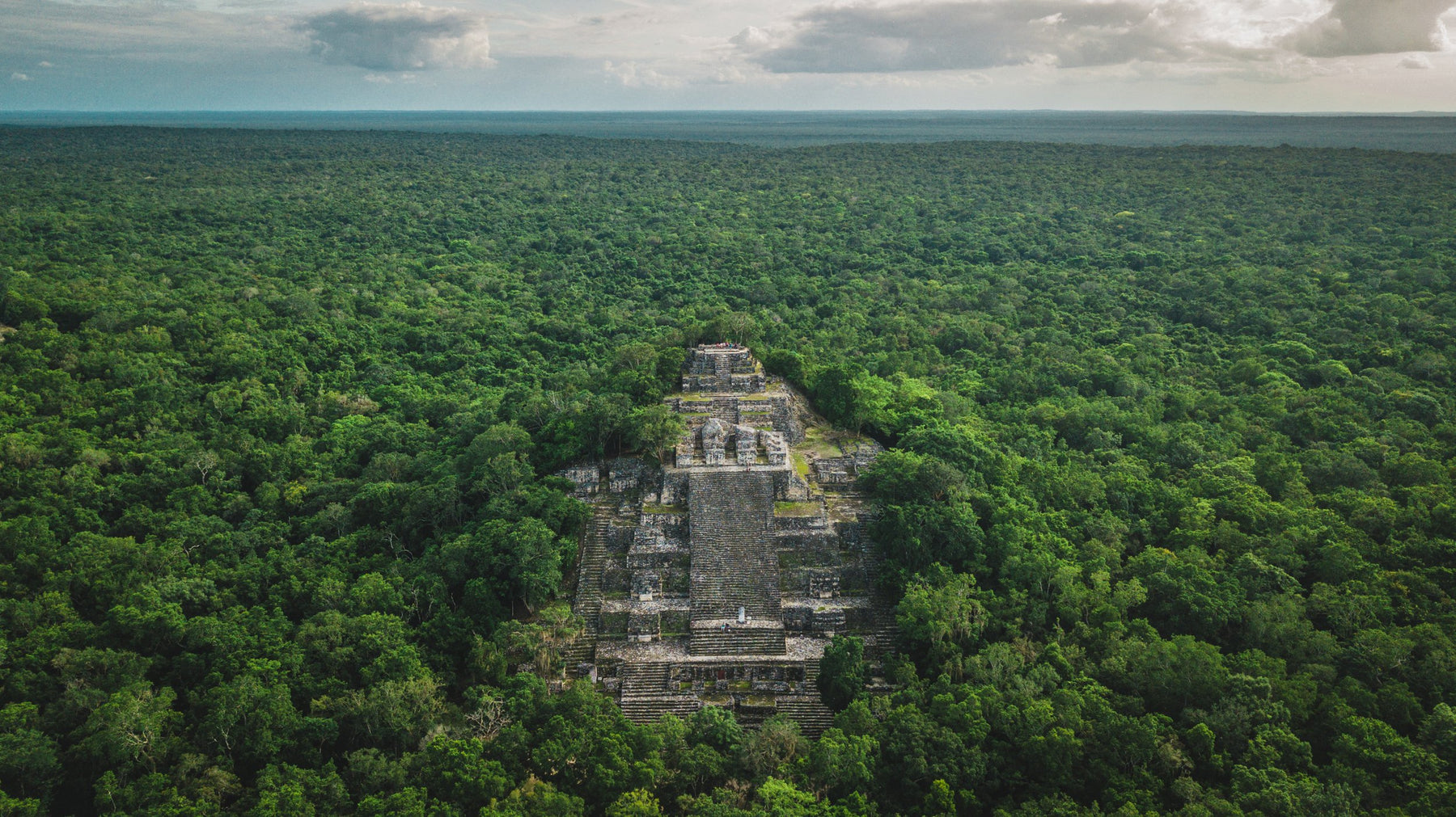 Ancient Mayan jungle in the Yucatán Peninsula