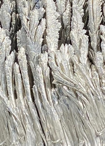 Magnesium